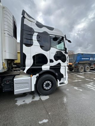 M Trans TGX 25 480 GM 4